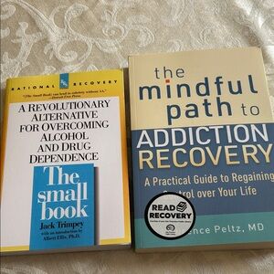 Rational Recovery and The Mindful Path to Addiction Recovery Books